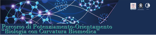 Banner-6833